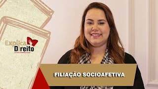 Explica Direito Filiação Socioafetiva  2019 [upl. by Iccir492]