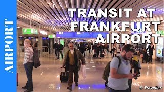 TRANSIT WALK AT FRANKFURT Airport FRA Terminal 1  Connection Flight Transfer Arriving amp Departing [upl. by Penman]